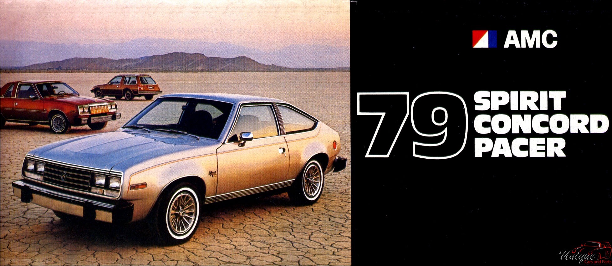 1979 American Motors Brochure